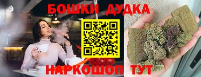 индика Вышний Волочёк