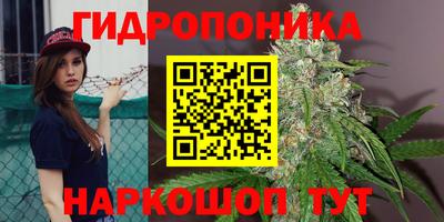 круглые Вязники