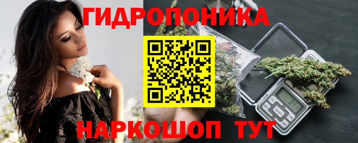Канабис план Городец